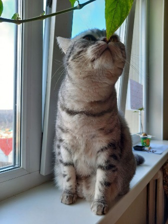 9fBrqQzAkkF5zShYU8fJRaqcsubLMBr5B5kjeJAYvEXvH2nKBwZB-swD3mvRQ185rXlq8bLeHPfs58kwjEwK0jSz