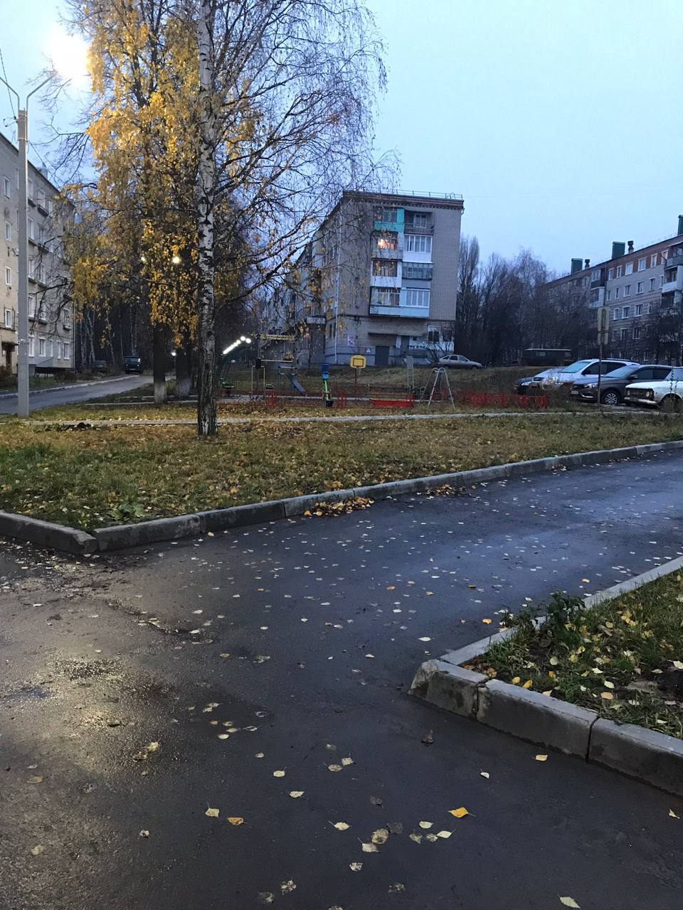 IMG 20231114 164404 875