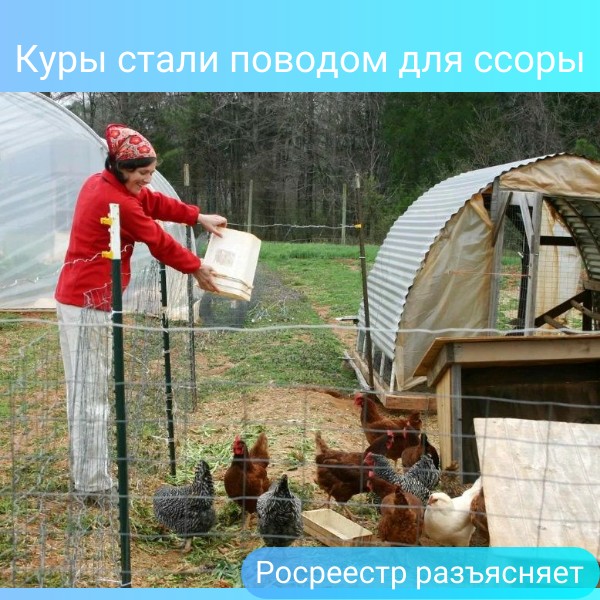 image 7244621 13777760