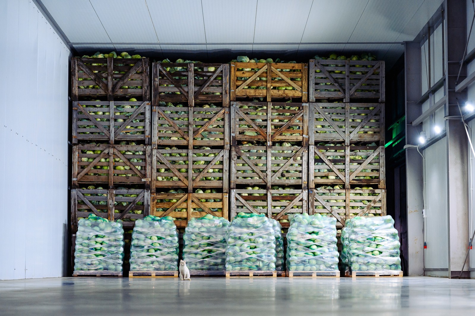 22070f4b7de8420d97cfe3383e699e1e